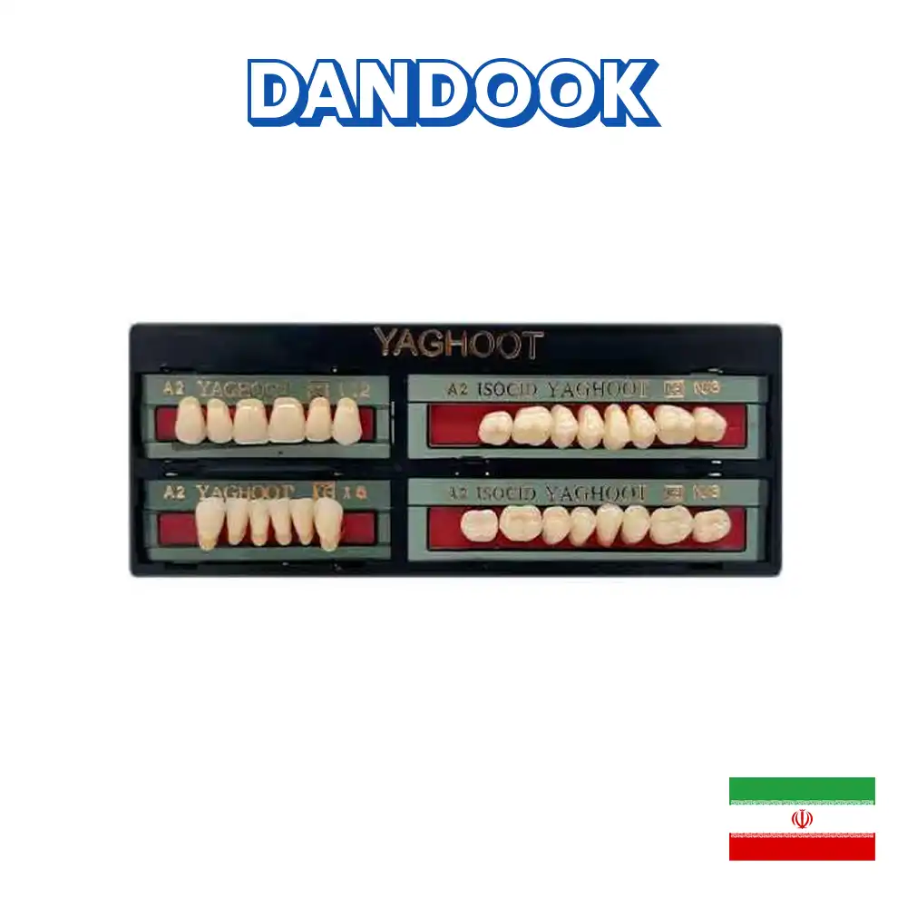 دست دندان مصنوعی یاقوت